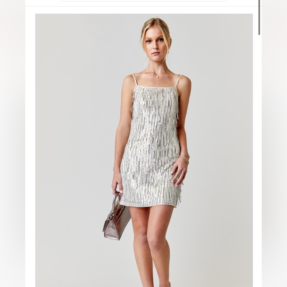 Francesca’s Angelina Sequin Fringe Mini Dress - White/Silver